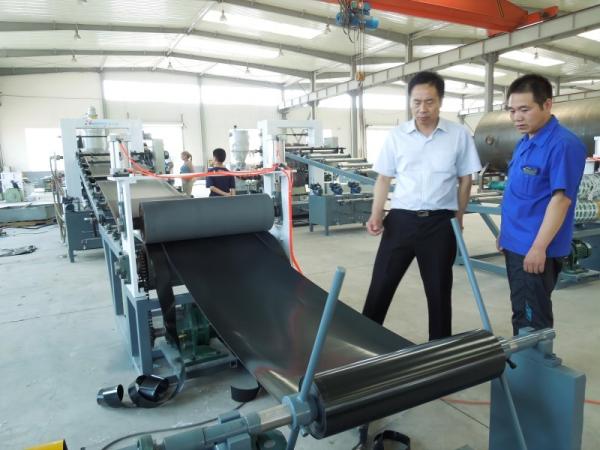 Quality HDPE / Electro Fusion Plastic Sheet Extrusion Line 80-320kg/H for sale