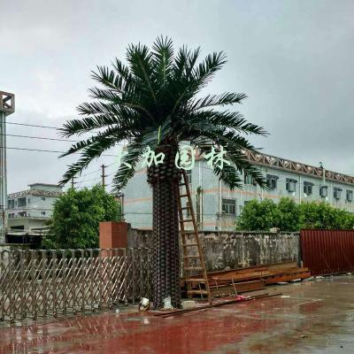 China Swimming Pool 6.3m Fake Palm Trees For Outside for sale