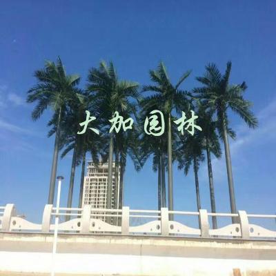 China Plastic 8m Artificial Royal Palm Tree For Pool Area for sale