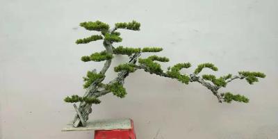 China Dajia 1m  Artificial Green Trees , Realistic Fake Bonsai Tree For Garden for sale