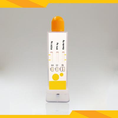 China Kit de teste de antígeno fecal de gato para FCoV+FPV+Giardia Lamblia limpo e livre de poluição à venda