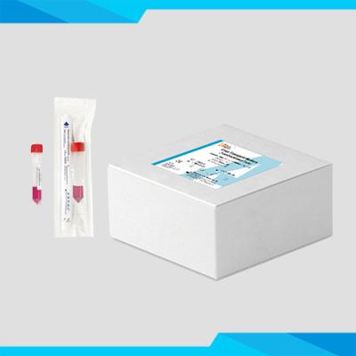China Tipo no desactivado tubo medio del transporte viral con Rose Red Reagent transparente en venta