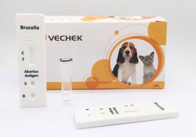 China 10 Minutes Bovine Brucella Antigen Test With Qualitative And Preliminary for sale