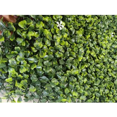 China Wholesale Green Plant Wall Artificial Lawn Boxwood Hedge Garden Backyard Home Backdrop Decor Milan Grass Flower Plant Wall for sale