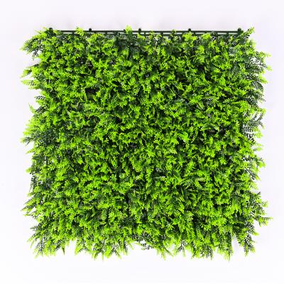 China China Factory Good Quality Outdoor Artificial Tropical Plant Wall Panel Boxwood Panels Hedge Artificial Plant Grass Vine Wall for sale