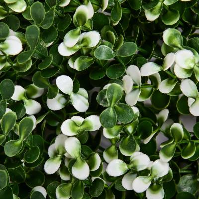 China New Arrival Best Prices Artificial Wall Hanging Plant Green Grass Wall Artificial Plants And Flowers Grass Wall Backdrop à venda