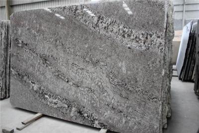 中国 台所カウンタートップの浴室のための灰色の花こう岩の石の平板 Bianco Antico 販売のため