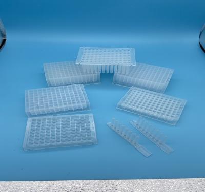 China Pointed Bottom Deep Well PCR Plates 96 Well Transparent Magnetic Sleeve for sale
