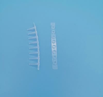 China 8 Strip Tube Pcr Tubes 0.1 Ml Transparent For Medicine Field for sale