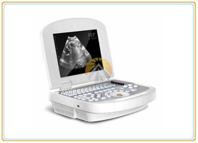 China 3.5MHz Convex Probe Ultrasound Scan Machine 2.5-8.0 MHz Frequency 64 Images Memory for sale