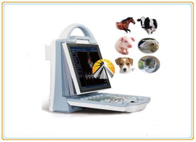 China Animal Ultrasound Scan Machine Durable 6.5MHz R20 Micro Convex Probe for sale