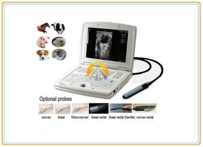 China Laptop Veterinary Ultrasound Scanner , Digital Livestock Ultrasound Equipment for sale