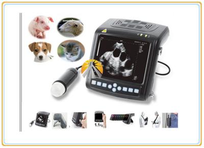 China Wrist Top Veterinary Ultrasound Scan Machine 212*154*58mm Dimension for sale