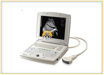 China Digital Laptop Ultrasound Scan Machine Convex Array Probe 10.4 Inch Screen for sale