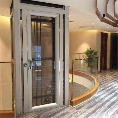 Китай Бортовой тип стеклянные личные домашние лифты отверстия с железным каркасом продается