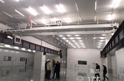 China Sala de limpeza Dustproof Crane With Safety Overload Protection do transporte de materiais à venda