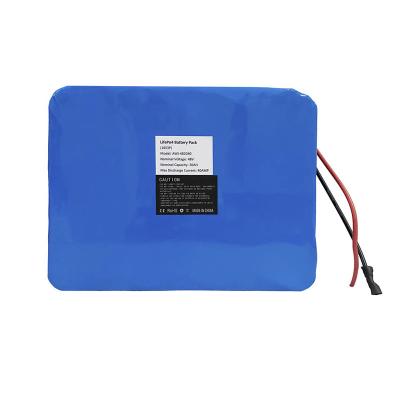 China 48V 20AH 960Wh Ebike Lithium Battery Packs With BMS Protection for sale