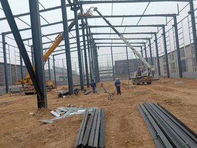 China LANGE Soundproof Prefabricated Steel Frame Buildings Customized Prefab Farm Houses for sale