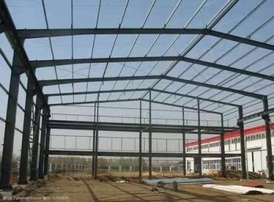China OEM Agricultural Industrial Steel Buildings Double Span Pre Engineered Shed for sale