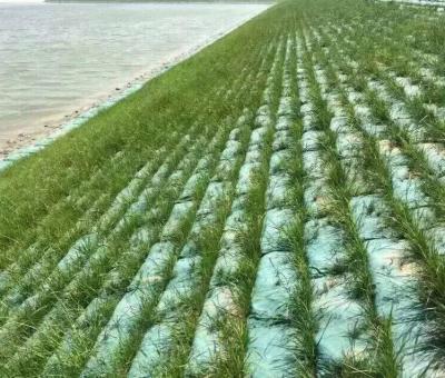 China bolsos no tejidos de Geo del sacador de la aguja 120-140gsm/bolsos del limo para la protección de la orilla del río en venta