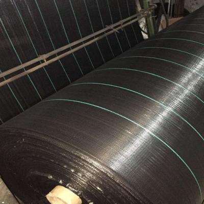 China PP Split Tape Pp Woven Geotextile Fabric for cofferdam geotube for sale