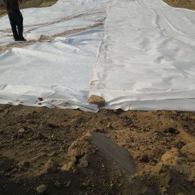 China 300gsm Nonwoven Geotextile 1.5mm LLDPE Geomembrane Liner For Fish Pond for sale
