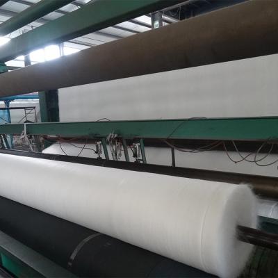 China Geotêxtil não tecido de grande resistência 115gsm-800gsm do perfurador da agulha do filamento do ANIMAL DE ESTIMAÇÃO para sacos do geotêxtil/Geobags à venda