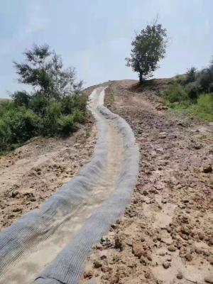 China Cement Sand Concrete Erosion Mat GCCM Blanket Rolls For Ditch Lining for sale