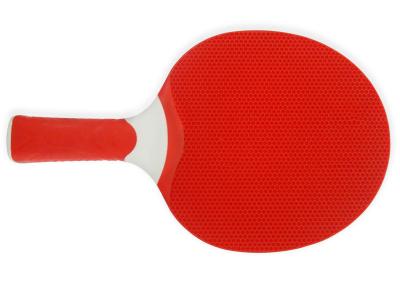 China Outdoor Table Tennis Bats Weather / Shock Resistant No Sponge For Recreation for sale