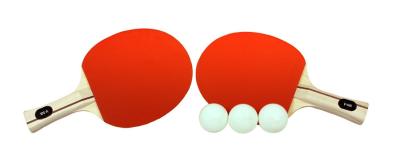 Chine Raquettes amateurs de ping-pong de joueur 2 battes de représentation 3 boules trois étoiles à vendre