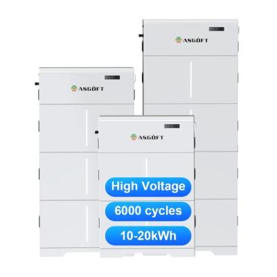 China 2023 Most Popular High Voltage HV Battery Pack Energy Storage System Battery for sale