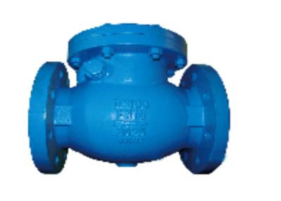 China BS 5153 Standard Flanged Swing Check Valve Blue PN16 Cast Iron for sale