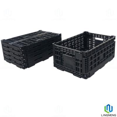 China Caja de zapatos de almacenamiento de plástico de 50L, cajas plegables de plástico de uso pesado para movilizar cajas organizadoras en venta