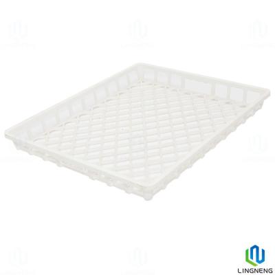 China Impact Resistant Plastic Planting Trays   , Seed Planting Trays For Growing Vegetables for sale