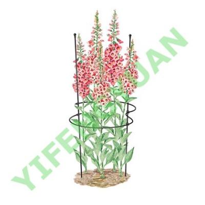 China Plant Support Ring, Growing Spiral for sale