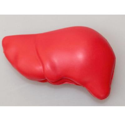 China New promotion gift creative product PU liver Shape Relief Stress Ball customed logo for sale