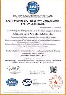 ISO9001 - Shandong Luxin New Material Co., Ltd.