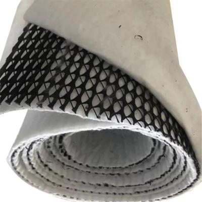 China HDPE Mesh 3D Composite Drainage Composite Geo Net Geonet Black White for Your Needs for sale