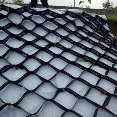 China Black Earthwork Products Hdpe Geocel for Smooth Geocel Gravel Driveway Paving Grid for sale