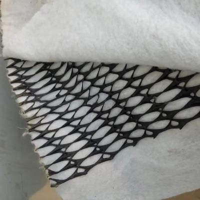 China Rainwater Drainage 3d Plastic Geocomposite Drain Net for Industrial Tunnels or Dams for sale