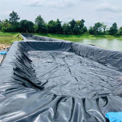 China Outdoor HDPE Sheet Plastic Membrane for Water Reservoir and Fish Tank in Black Color for sale