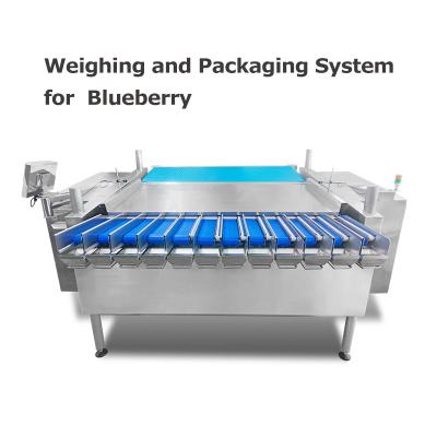 China MCU Control Weighing And Packaging Machine For Blueberry Cherry Tomatoes Raspberries en venta