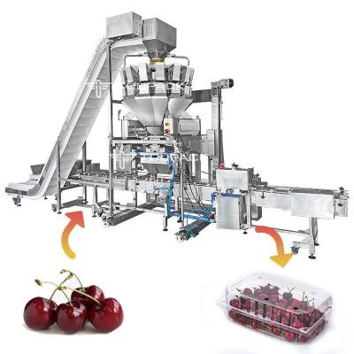 China Linear Automatic Filling Machine Cherry Blueberry Strawberry Tray Box Packaging Machine for sale