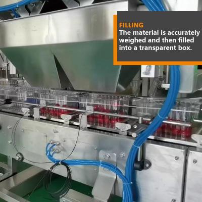 China Fresh Fruit Packing Automatic Multihead Weigher Granule Little Tomato Filling Machine en venta