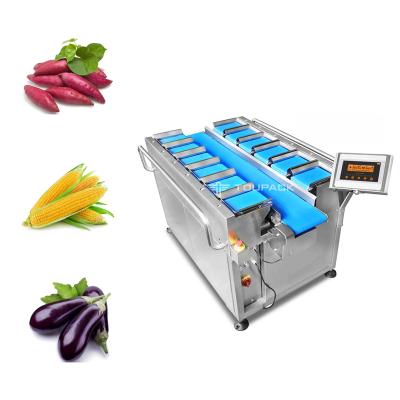 China Industrial 12 Head 14 Head Belt Combination Weigher For Sweet Potato Corn Eggplant Type for sale
