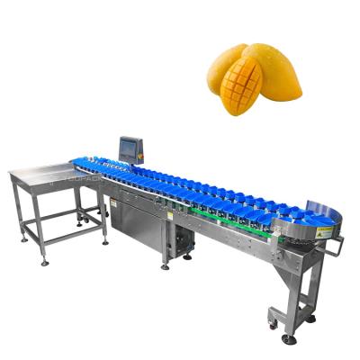 중국 Stainless Steel 304 Automatic Size Sorting Machine For Mango Fruit Vegetables Grading 판매용