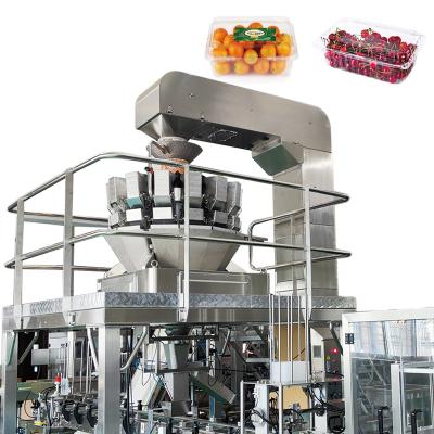 China Accuracy Automatic Multihead Weigher Servo Motor Driving Fruits Vegetables Salad Packing Machine for sale