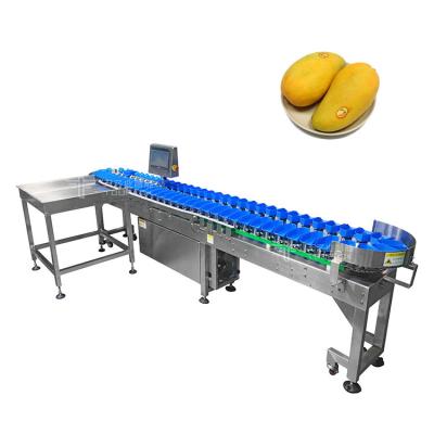 China Easy Operation Tray Type Apple Lemon Peach Orange Kiwi Mango Avocado Fruit Grader Sorting Machine zu verkaufen