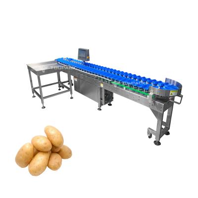 Κίνα Stainless Steel Tomato Garlic Onion Sorting Machine Potato Grading Size Grader Machine Vegetable Weight Sorting Maine προς πώληση