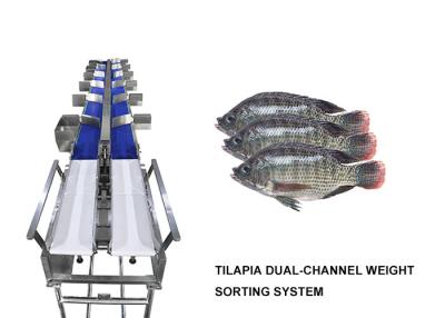 China Waterproof 12 Grades Multihweight Sorter Machine For Fresh Food Fish / Sausage / Yolk à venda